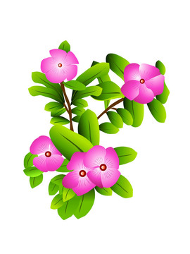 盛開的花朵