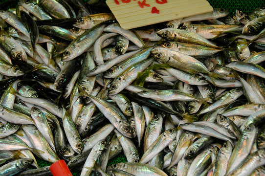 魚市場(chǎng)