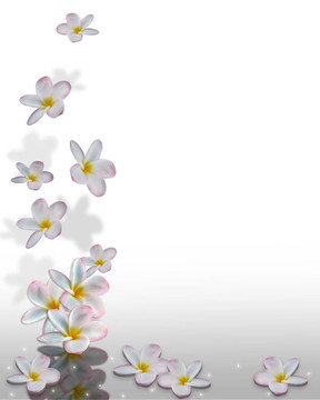 雞蛋花角設(shè)計
