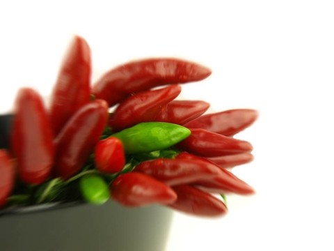 辣椒和紅辣椒非常接近