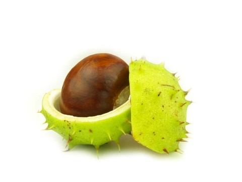 板栗很近