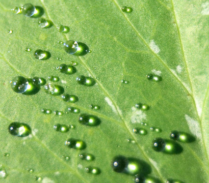 水滴背景