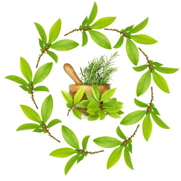 海灣和迷迭香香草