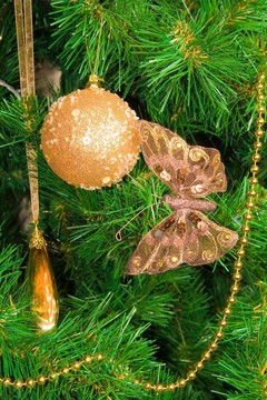 新年樹科