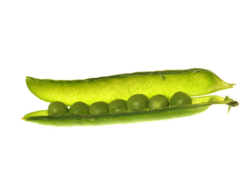 莢豌豆