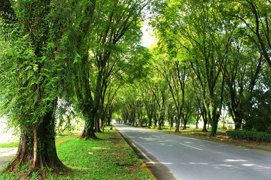 沿公路邊
