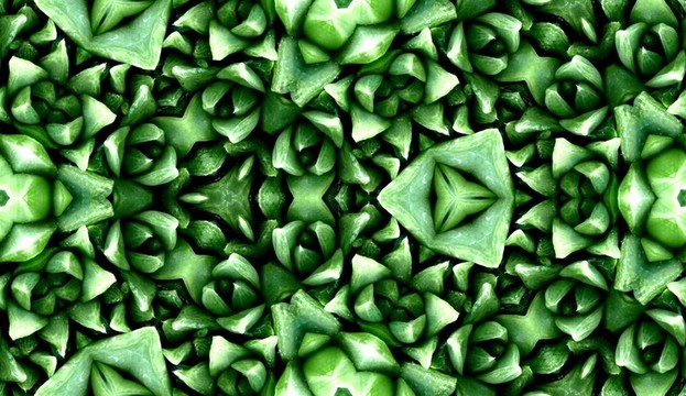 無(wú)縫綠色仙人掌圖案3