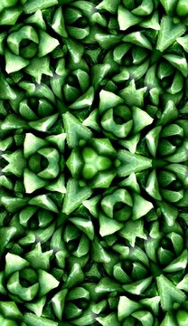 無縫綠色仙人掌圖案4