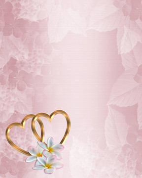 婚禮邀請(qǐng)Pink Satin