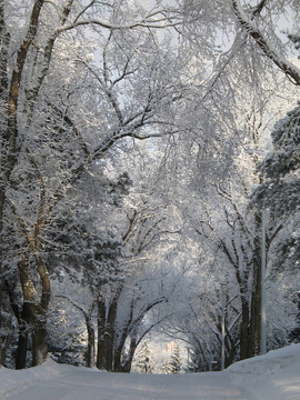冰雪覆蓋的道路