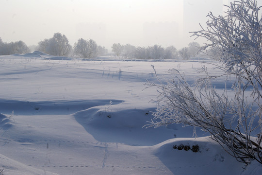 大美嫩江 冬日雪景 內(nèi)蒙古