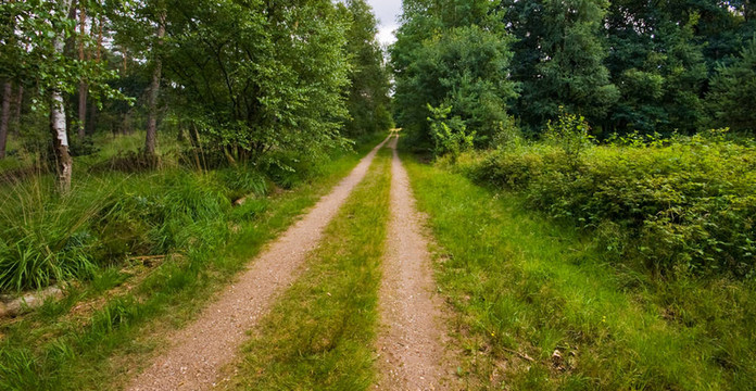 桑迪路