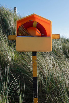 lifebuoy 10