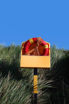 lifebuoy 11