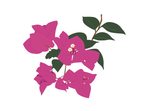 漂亮的花