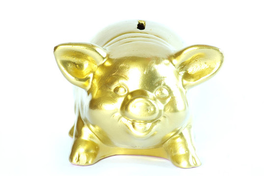 金色的小豬存錢罐