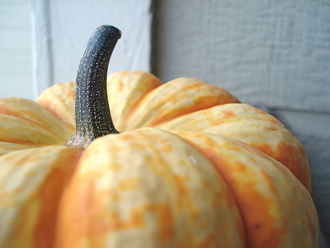 孤獨(dú)的南瓜