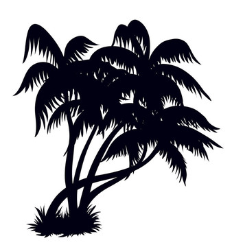 棕櫚樹(shù)剪影2
