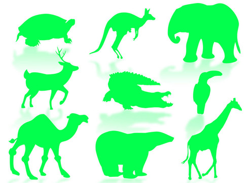 野生動物
