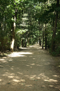 公園里