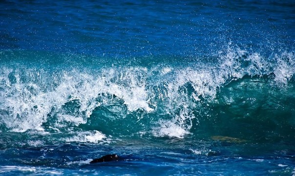 海洋中的波浪