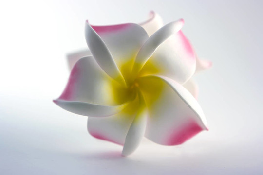 人造花卉