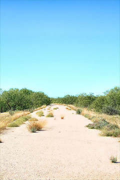 沙漠公路