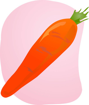 胡蘿卜的插圖