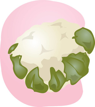 花椰菜的插圖