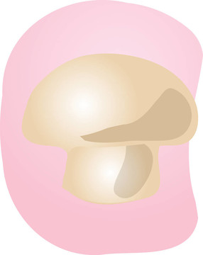 蘑菇的插圖