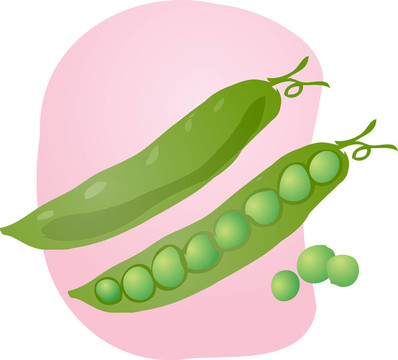 豌豆的插圖