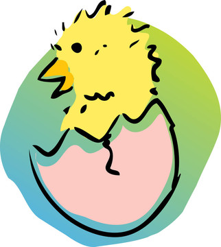 小雞