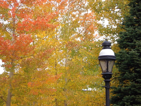 秋天的Foliage Lamp