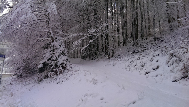 積雪  落雪