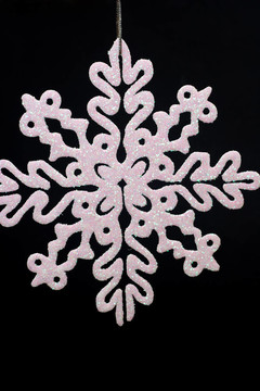 雪花在BLA