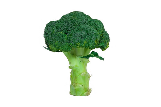 西蘭花