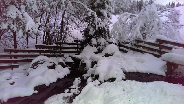 積雪
