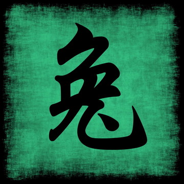 兔生肖