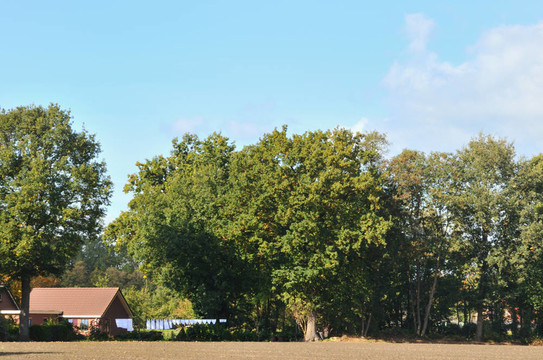 farmhosue