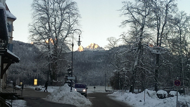 雪地樹林