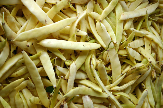 白豌豆莢