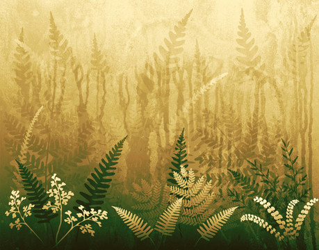 wallferns