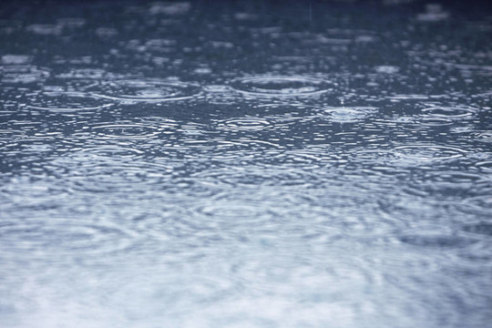 雨