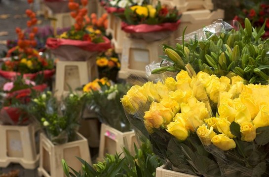 花架