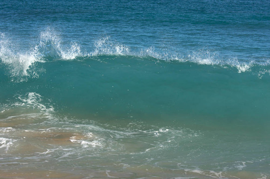 戲劇性的Shorebreak Wave