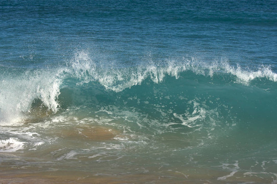 戲劇性的Shorebreak Wave