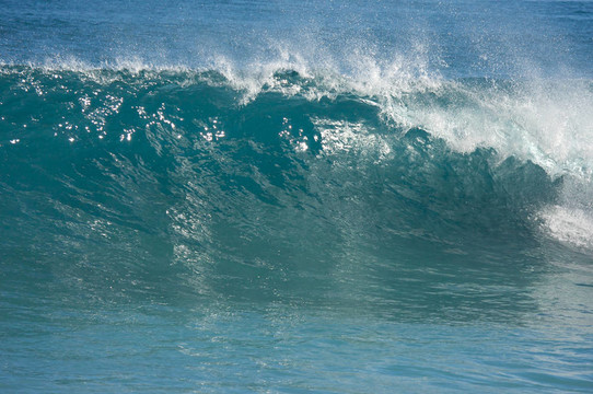 戲劇性的Shorebreak Wave