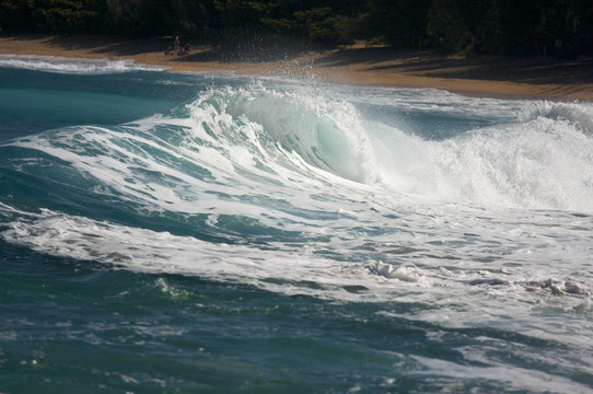 戲劇性的Shorebreak Wave