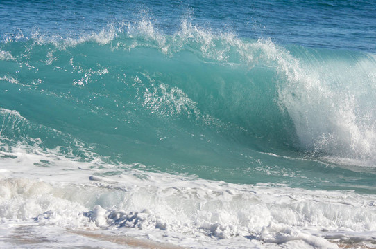 戲劇性的Shorebreak Wave