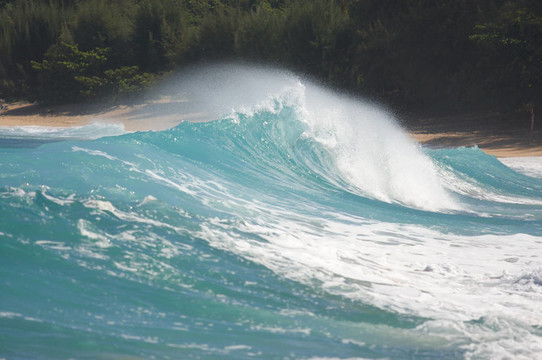 戲劇性的Shorebreak Wave